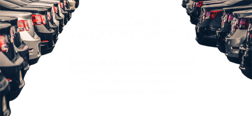 gestion-parqueautomotor